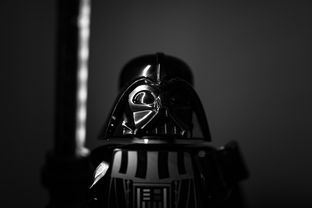 kaiyun-“南非羚羊队的秘密武器：萨尔·巴赫的崛起”